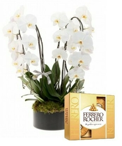 Stunning White Orchids and Ferrero Rocher