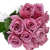 Rosas lilás