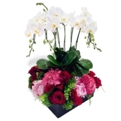 Arranjo Di Cavalcanti