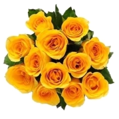 Beautiful 12 Yellow Export Roses