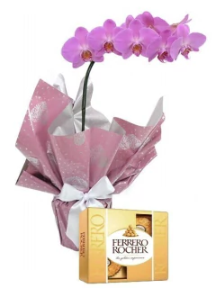 Orquídeas Phal Lilás com Ferrero Rocher