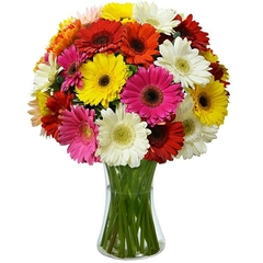 Vase 20 Colorful Gerberas