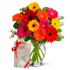 Luxurious Vase 12 Gerberas and Chocolates