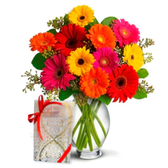 Florero Lujoso 12 Gerberas y Chocolates