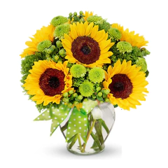 Carinho em Girassóis