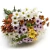 Flores Del Campo, Mezcla, Única - comprar online