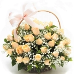 Hermosa 40 Rosas Champagne