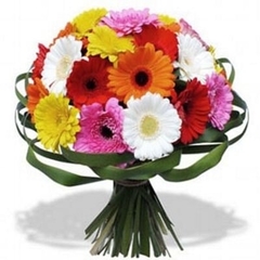 Ramo 40 Gerberas