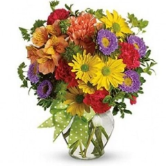 Spring Freshness