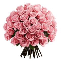 Bouquet 50 Pink Roses