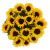 Wonderful Sunflowers Bouquet - buy online