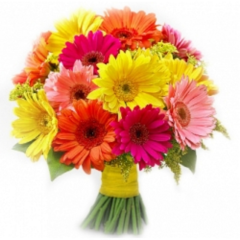 Bouquet Affection in Gerberas