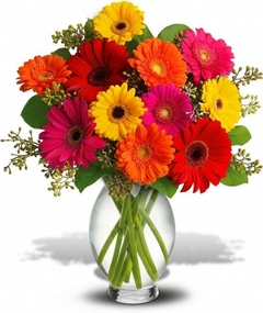 Vase Luxurious Twelve Gerberas