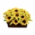 Sunflower Garden - buy online