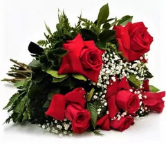 6 Rosas Colombianas