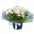 Hermosas margaritas plantadas - comprar online
