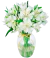 Beautiful White Alstroemerias in a Vase