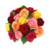 Special 18 Colored Roses Bouquet SP