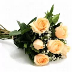 Six Champagne Roses Bouquet - buy online