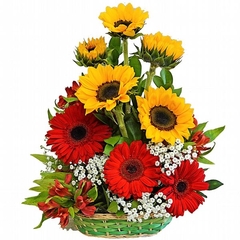 Canasta de Girasoles y Gerberas