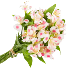 Alstromerias Cor de Rosa, sem embalagem - comprar online
