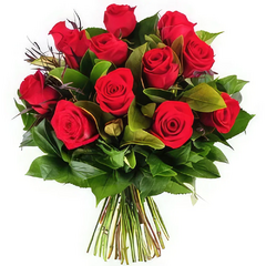 Bouquet of Twelve Colombian Roses