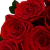 Buquê Rosas Colombianas - Floresnet