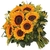 Bouquet Twelve Sunflowers