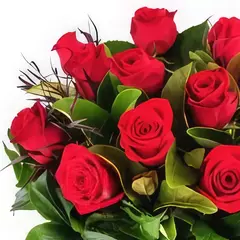 Bouquet of Twelve Colombian Roses - buy online