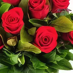 Bouquet of Twelve Colombian Roses on internet