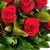 Bouquet of Twelve Colombian Roses on internet