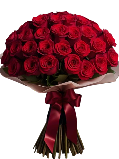 Buque 36 Rosas Colombianas na internet