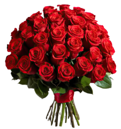 Bouquet of 36 Colombian Roses