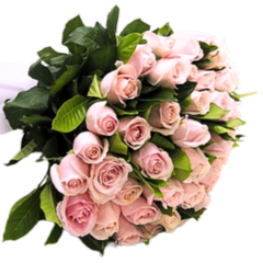 Beautiful Bouquet of 30 Pink Roses SP