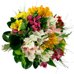 Colorful Alstroemeria Bouquet