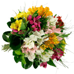 Ramo colorido de Alstroemeria - comprar online