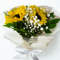 5 girasoles y Choco Petit Beurre - Floresnet