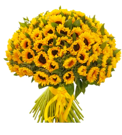 Mega Ramo 100 Girasoles - tienda online
