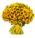 Mega Ramo 100 Girasoles - tienda online