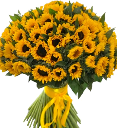 Mega Ramo 100 Girasoles en internet