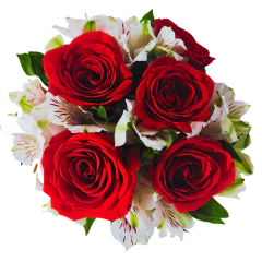 Buquê 5 Rosas Colombianas e Cachorro Enamorado na internet