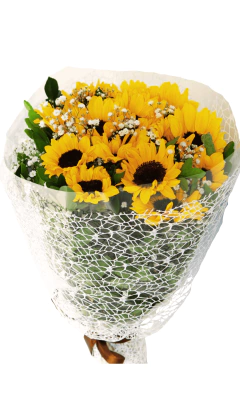 Magnificent Sunflowers Bouquet - buy online