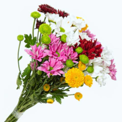 Flores do Campo, sem embalagem - comprar online