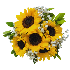 5 Sunflowers and Lindt Heart on internet