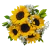 5 Sunflowers and Lindt Heart on internet