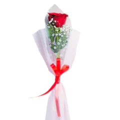 Paquete de 10 rosas - tienda online