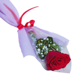 Paquete de 10 rosas - Floresnet