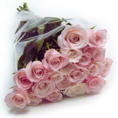 Pacote 10 Rosas Cor de Rosa, sem embalagem - comprar online