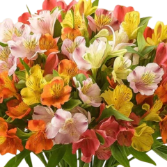 Jarrón de alstroemerias degradado y Alfajores en internet