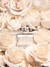 Chloé - Feminino Eau de Parfum